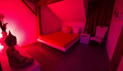 Studio Goldencats Gmbh - Brothel in Fischingen, Switzerland