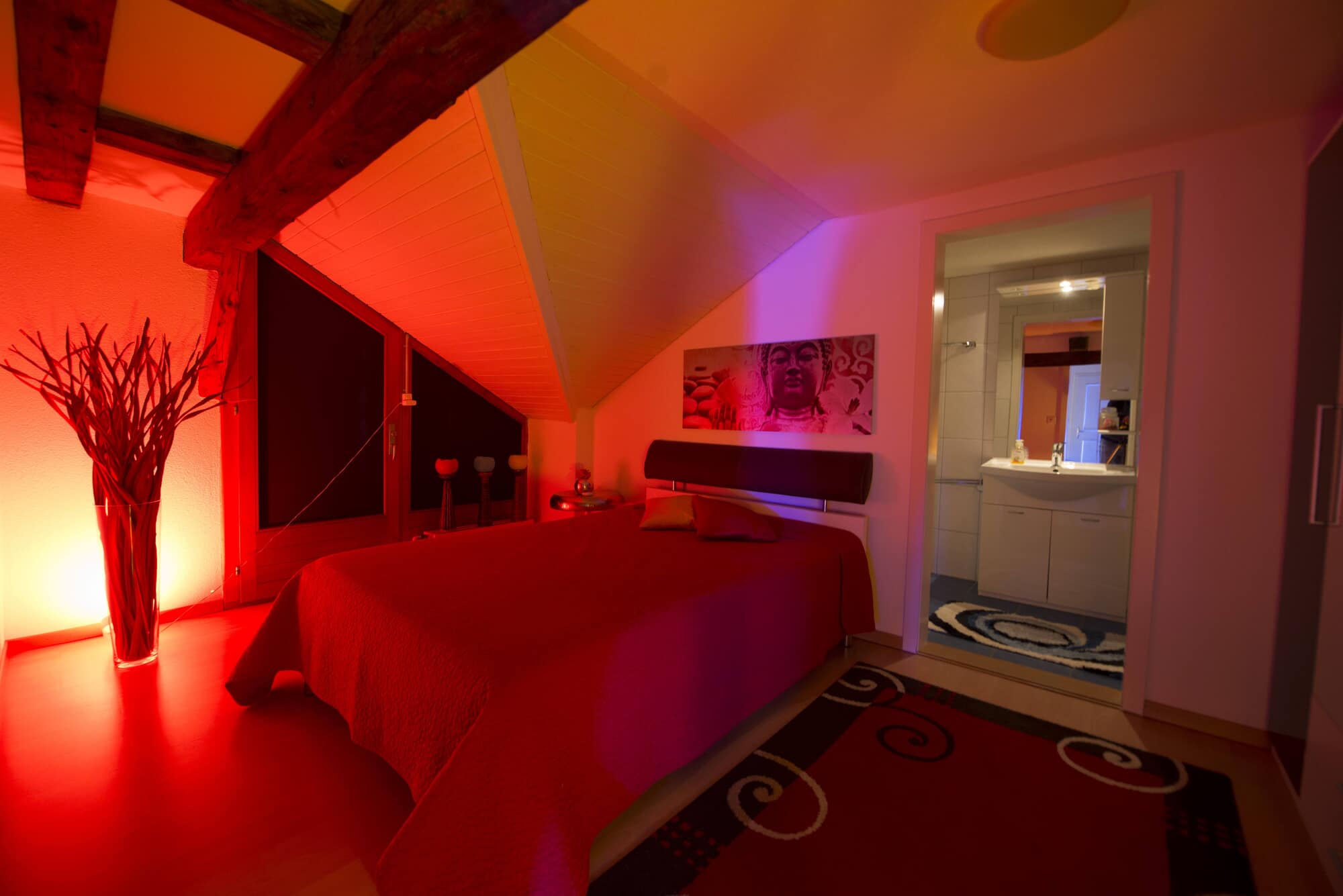 Studio Goldencats Gmbh - Brothel in Fischingen, Switzerland