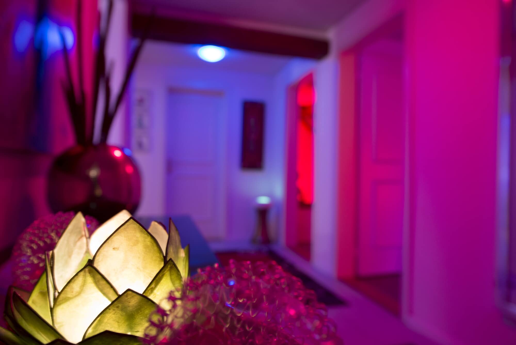 Studio Goldencats Gmbh - Brothel in Fischingen, Switzerland