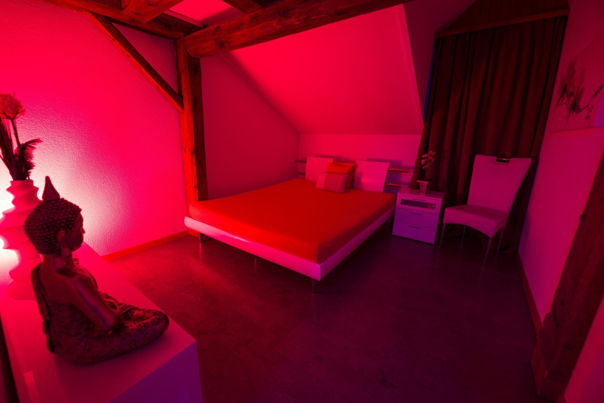 Studio Goldencats Gmbh - Brothel in Fischingen, Switzerland