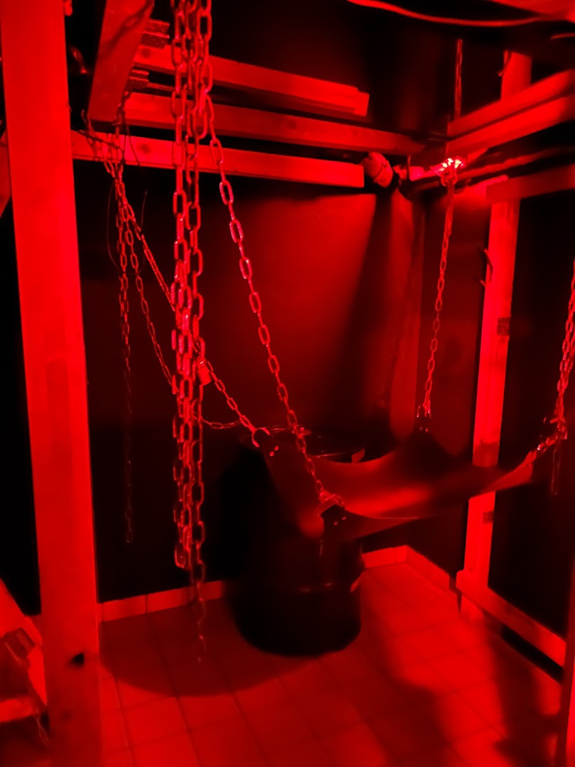 Substation X-World No 1 On 3 Levels Climatised - Brothel in Geneve, Switzerland