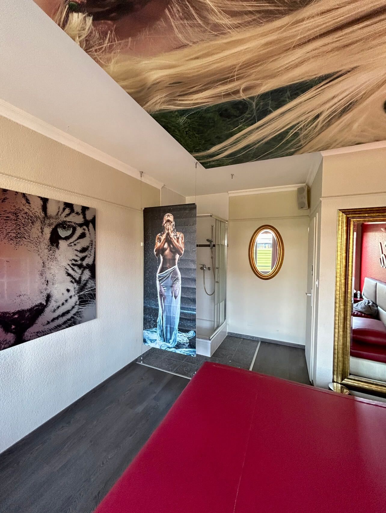 Diamond Lounge - Erotic Massage in Geneve, Switzerland