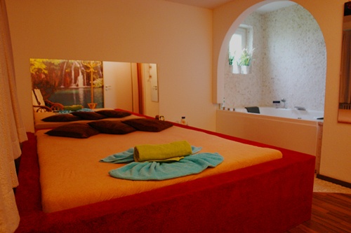 Mondana - Brothel in Killwangen, Switzerland