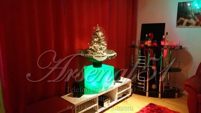 Sex Studio Bordell Arsenal 51 - Brothel in Kriens, Switzerland