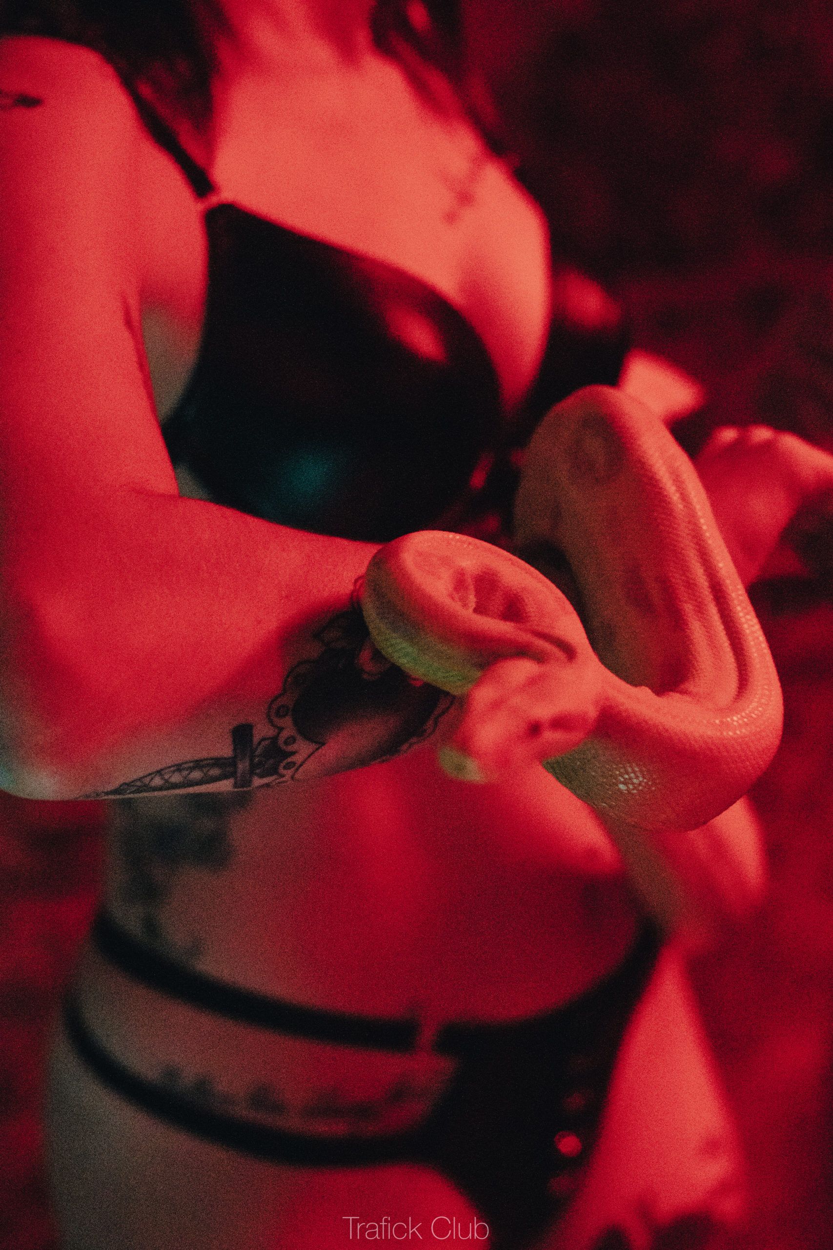 Trafick - Swinger Club in Lausanne, Switzerland