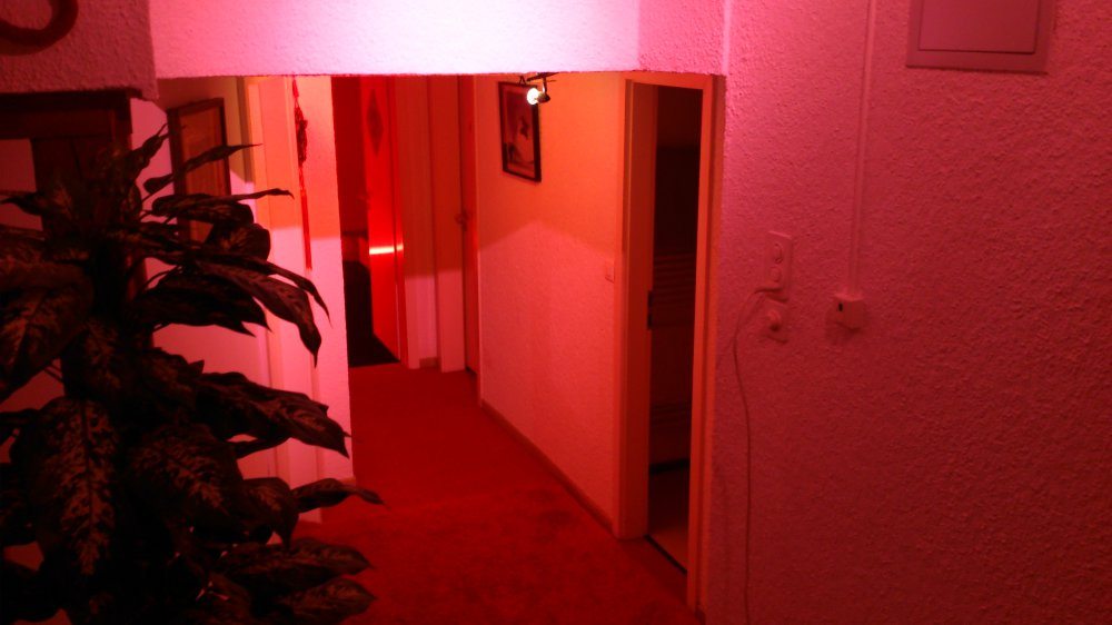 The Ladies & Girls At May - Erotic Massage in Mullheim, Switzerland