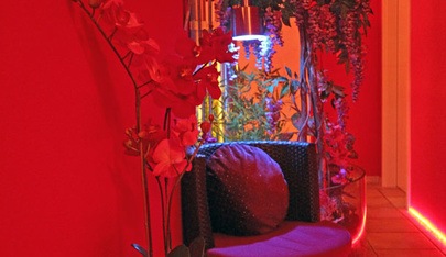Studio Artemis - Brothel in Oberengstringen, Switzerland