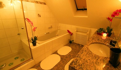 Studio Artemis - Brothel in Oberengstringen, Switzerland