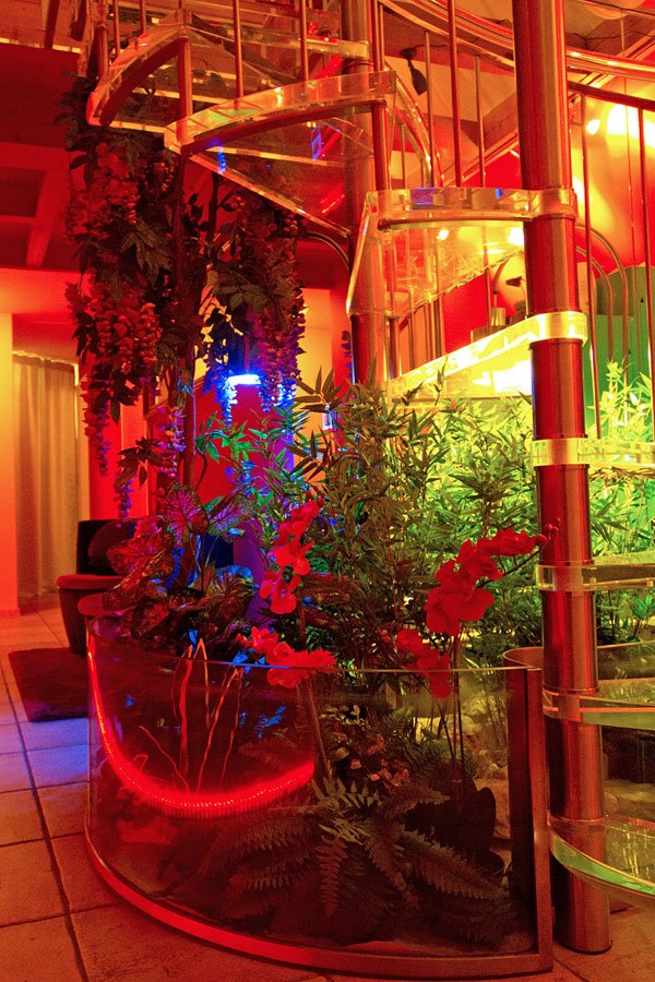 Studio Artemis - Brothel in Oberengstringen, Switzerland