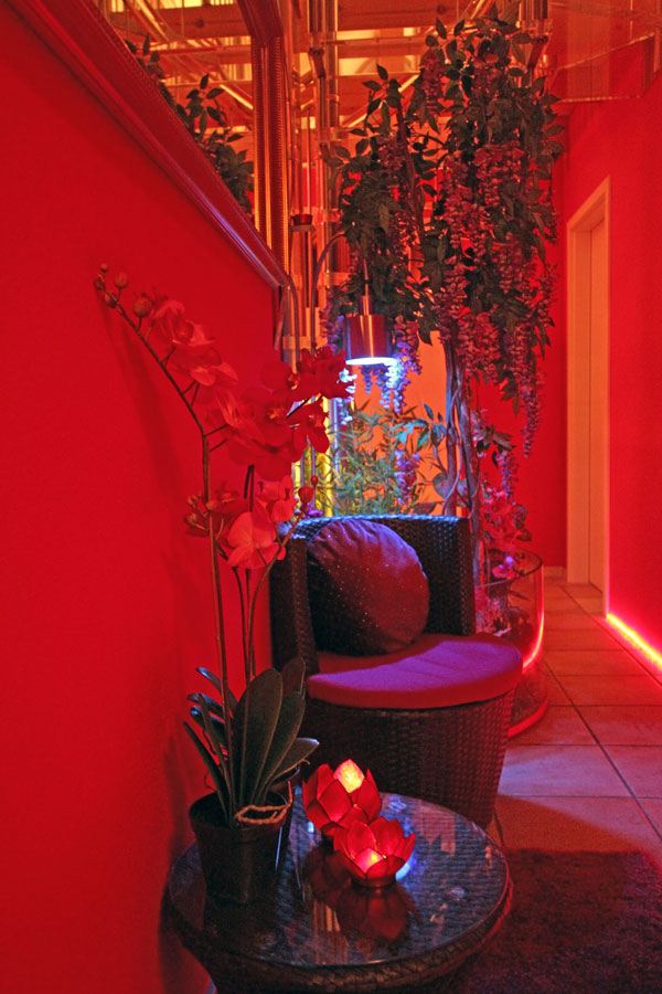 Studio Artemis - Brothel in Oberengstringen, Switzerland