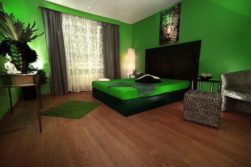 Studio Flypoint - Brothel in Opfikon, Switzerland