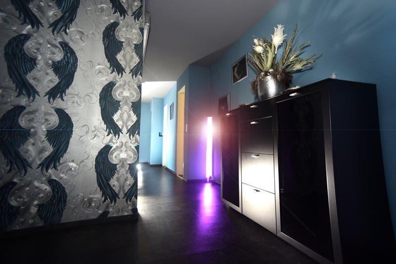 Studio Flypoint - Brothel in Opfikon, Switzerland