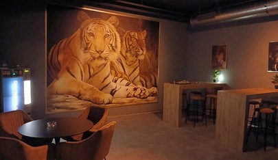 Manege Bar - Nightclub in Pfaffikon, Switzerland