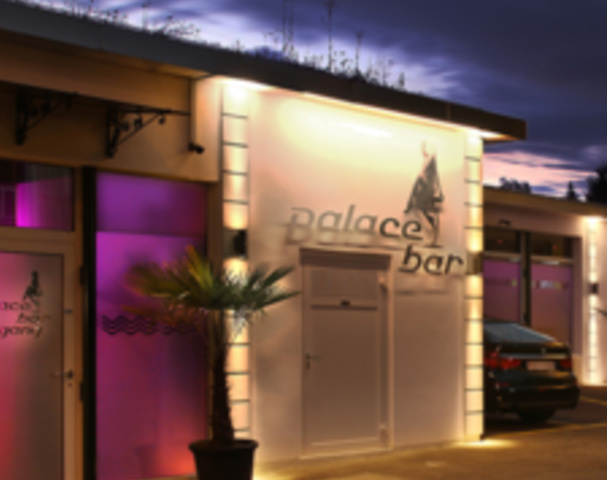 Palace Bar - Nightclub in Root, Switzerland