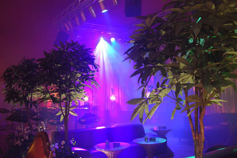 Orangerie Le Club Ag - Swinger Club in Rosental Wangi, Switzerland