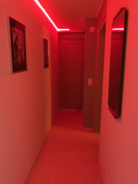 Studio Fly - Brothel in Schaffhausen, Switzerland