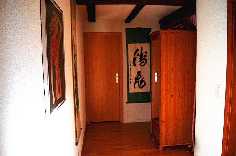 China Love - Brothel in Volketswil, Switzerland