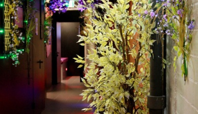 Cruising World Kirchberg - Swinger Club in Wil, Switzerland