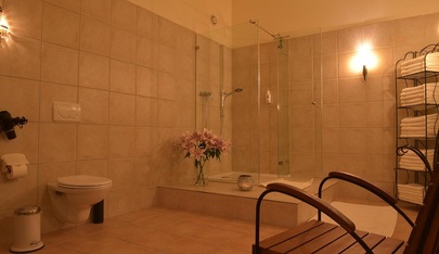 Dakini  - Erotic Massage in Zurich, Switzerland