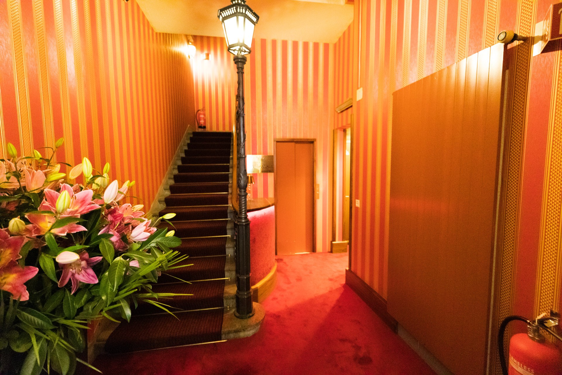 Club Aphrodisia - Nightclub in Zurich, Switzerland