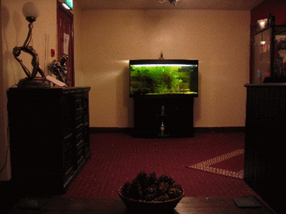 Infusion - Swinger Club in Blackpool, United Kingdom