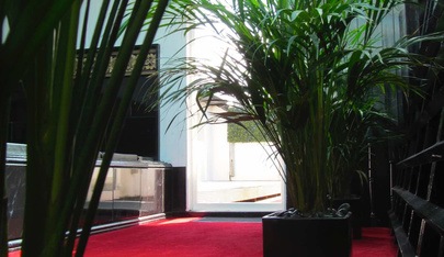 Bristol Gardens Health Spa - Fkk in Brighton, United Kingdom