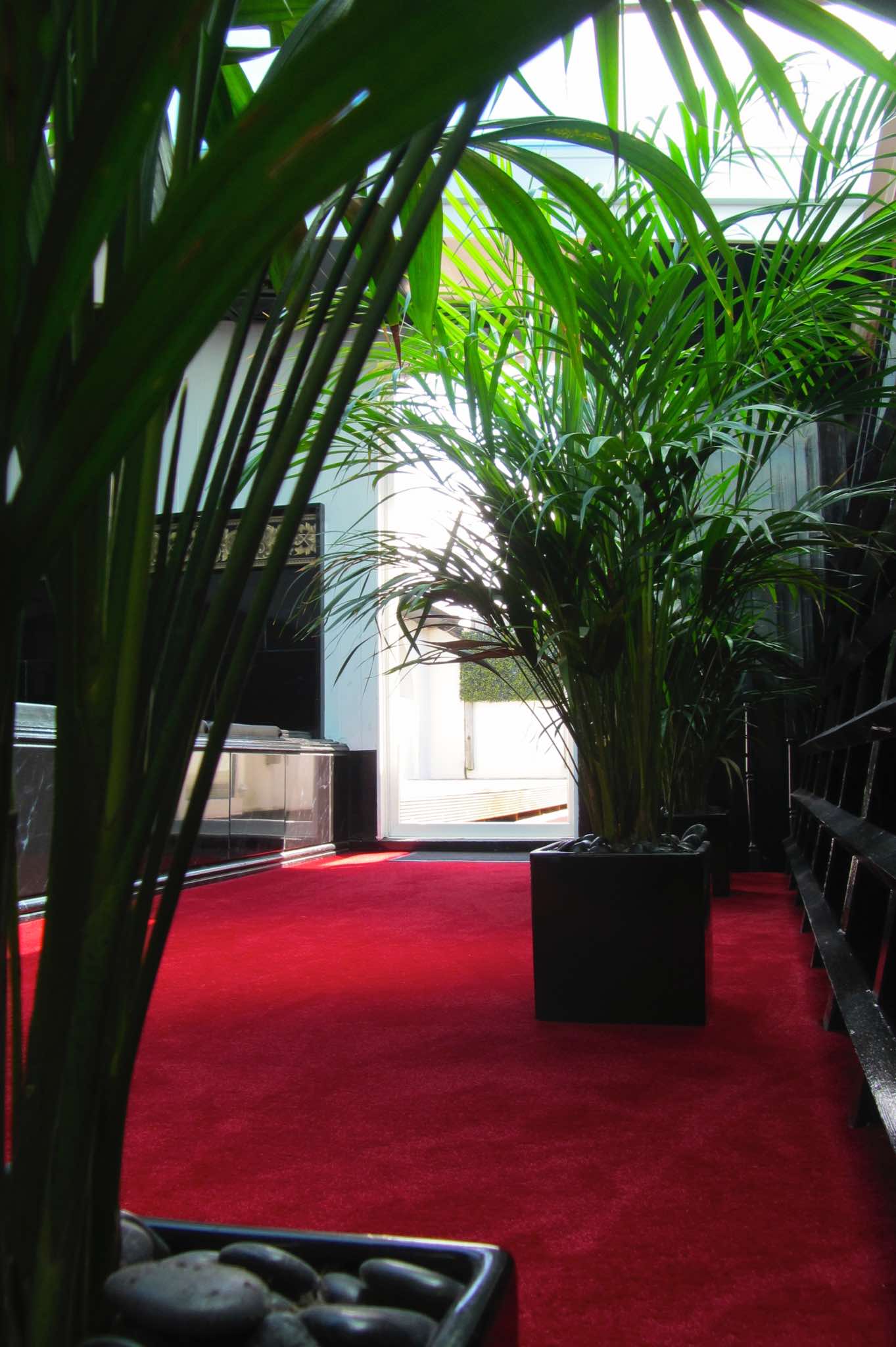 Bristol Gardens Health Spa - Fkk in Brighton, United Kingdom