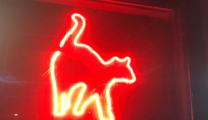 The Pussycat Club - Nightclub in Brighton, United Kingdom