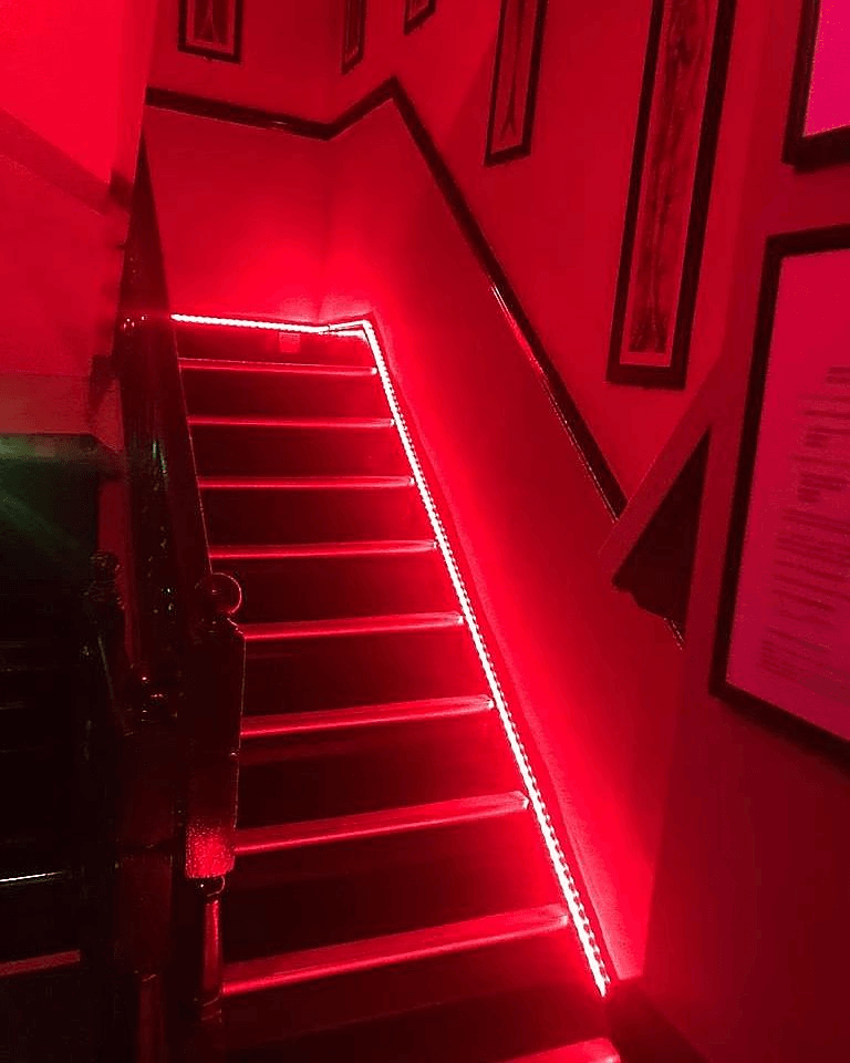 The Pussycat Club - Nightclub in Brighton, United Kingdom