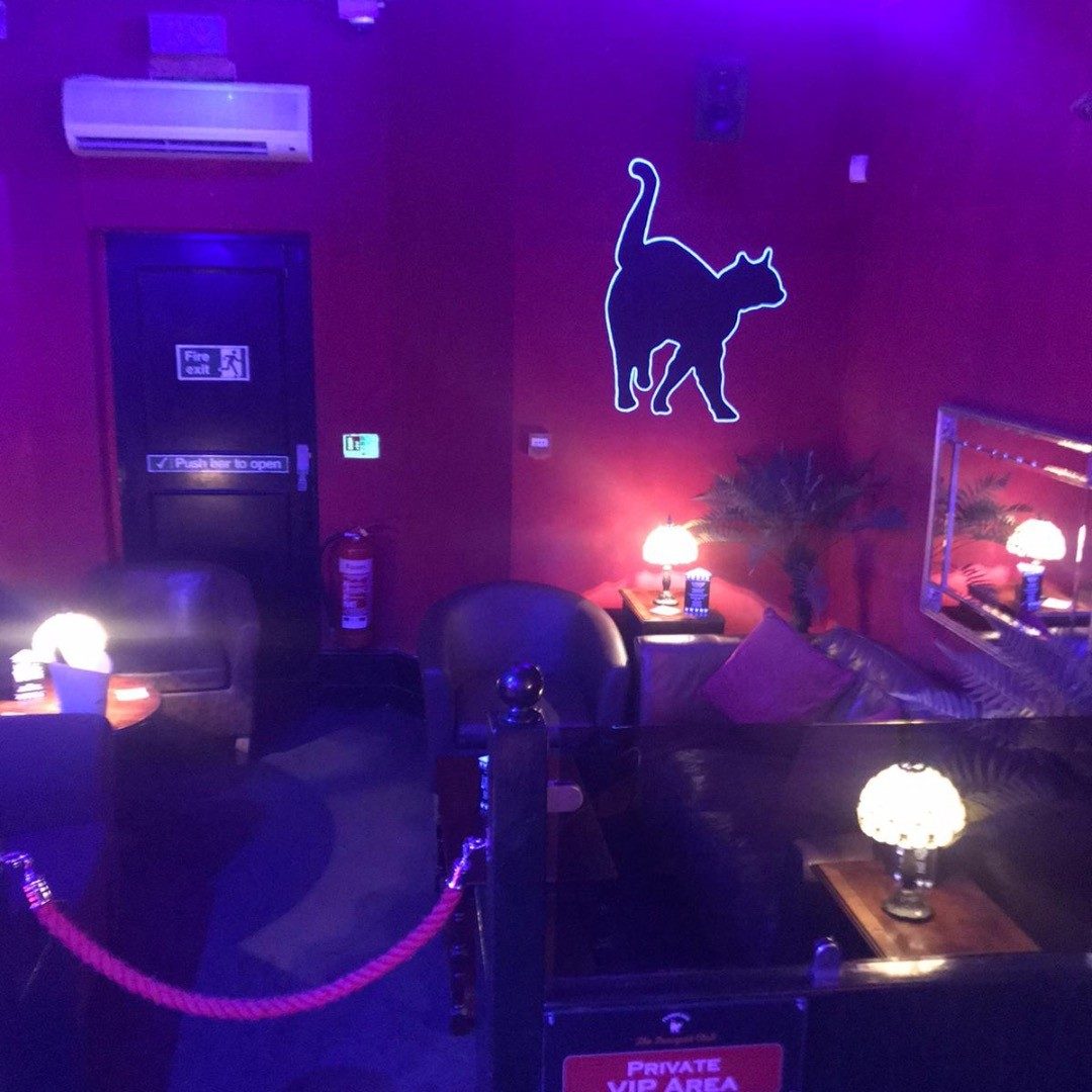The Pussycat Club - Nightclub in Brighton, United Kingdom