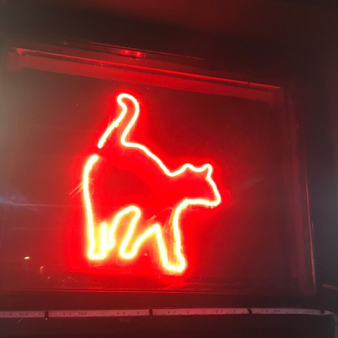 The Pussycat Club - Nightclub in Brighton, United Kingdom