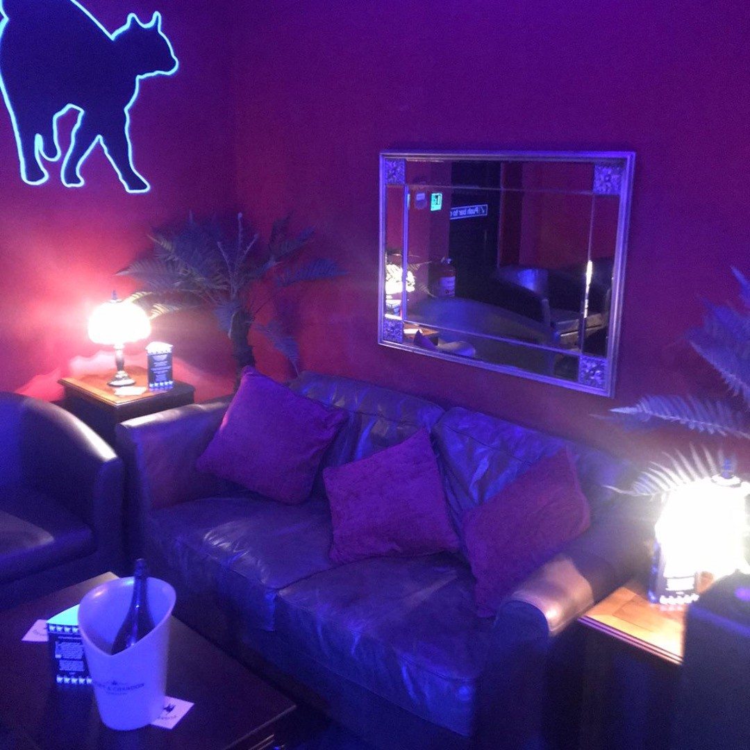 The Pussycat Club - Nightclub in Brighton, United Kingdom