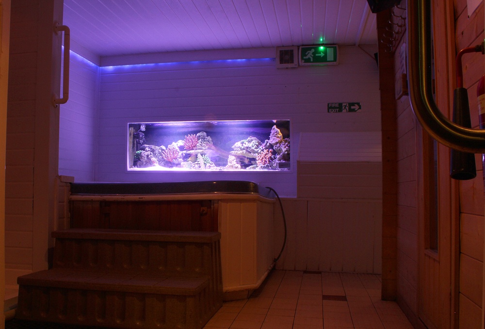 Adam And Eves Club Reinvented - Swinger Club in Eccles, United Kingdom