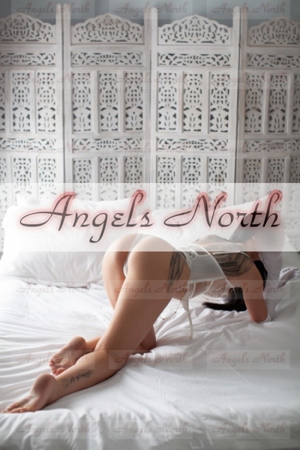 Angels North - Escort Agency in , United Kingdom