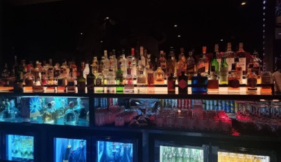 Platinum Lace | London's No.1 Lap Dancing & Strip Club - Nightclub in London, United Kingdom