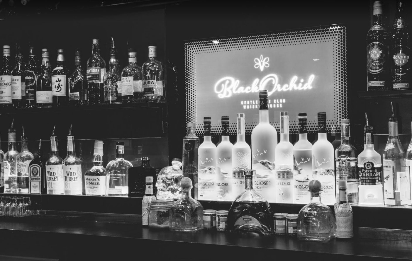 Black Orchid - Nightclub in York, United Kingdom