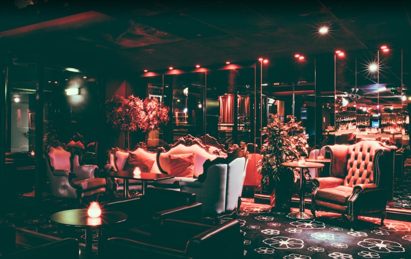 Black Orchid - Nightclub in York, United Kingdom