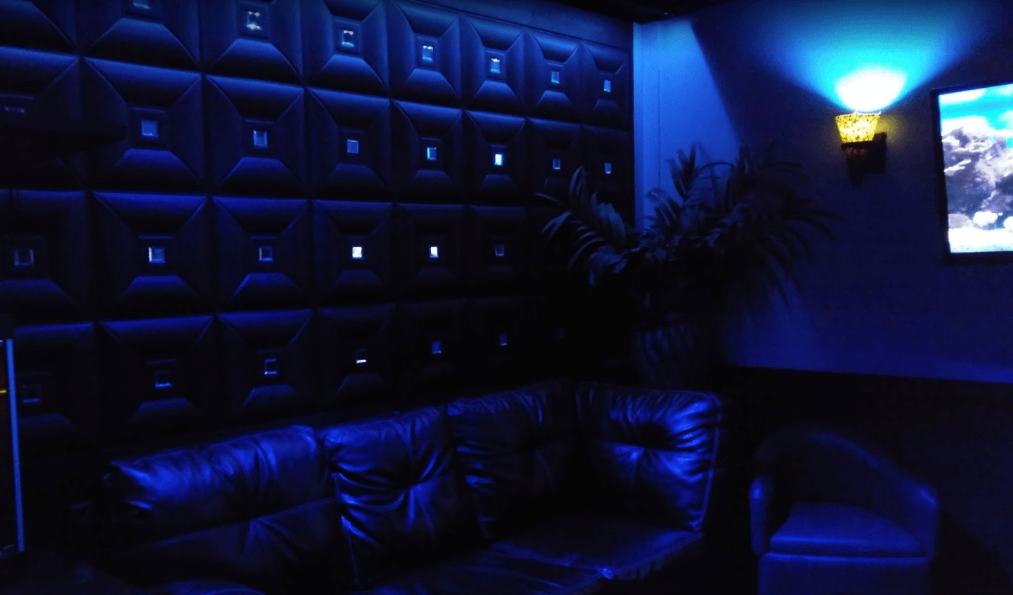 Polekatz Chicago Gentleman's Club - Nightclub in Bridgeview, United States