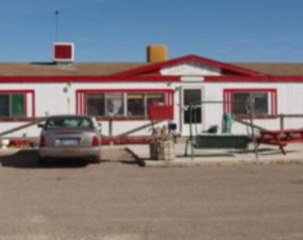 Sharon's Bar and Brothel - Brothel in Carlin, United States