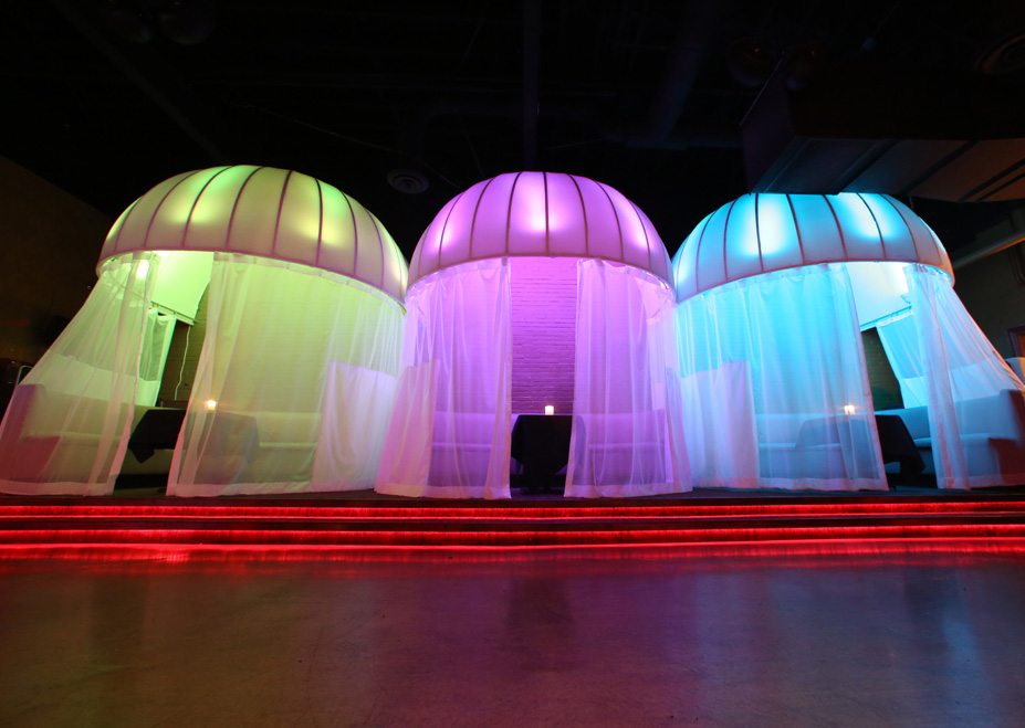 Pink Monkey - Chicago - Nightclub in Chicago, United States