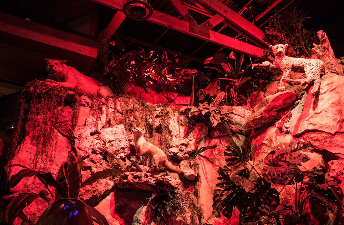 The Lodge - Dallas - Nightclub in Dallas, United States
