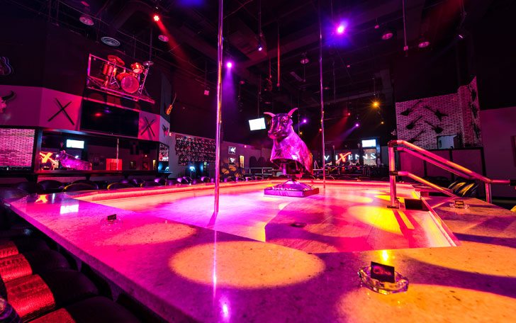 Vixens Cabaret - Nightclub in Davie, United States