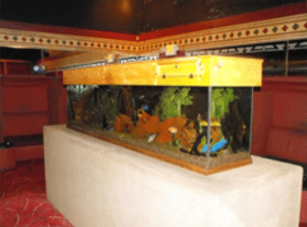Dancers Showclub - Nightclub in Indianapolis, United States