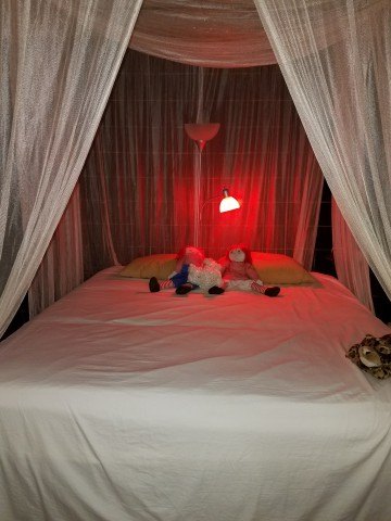 Jacksonville Lifestyle At Ckj - Swinger Club in Jacksonville, United States