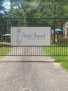 Purple Peacock Resort - Swinger Club in Jacksonville, United States