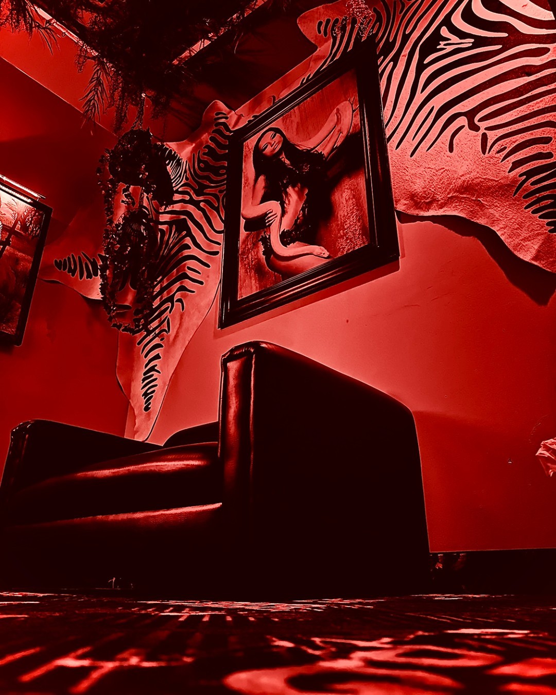 Dream Girls - Nightclub in Lincoln Park, United States