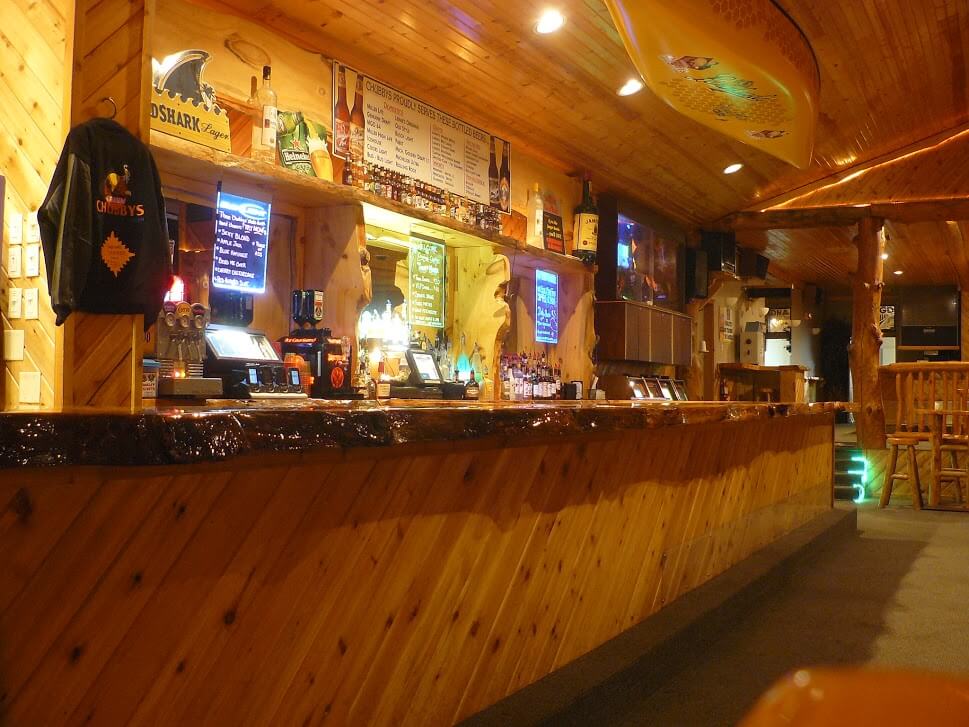 Cruisin Chubbys - Nightclub in Lyndon Station, United States