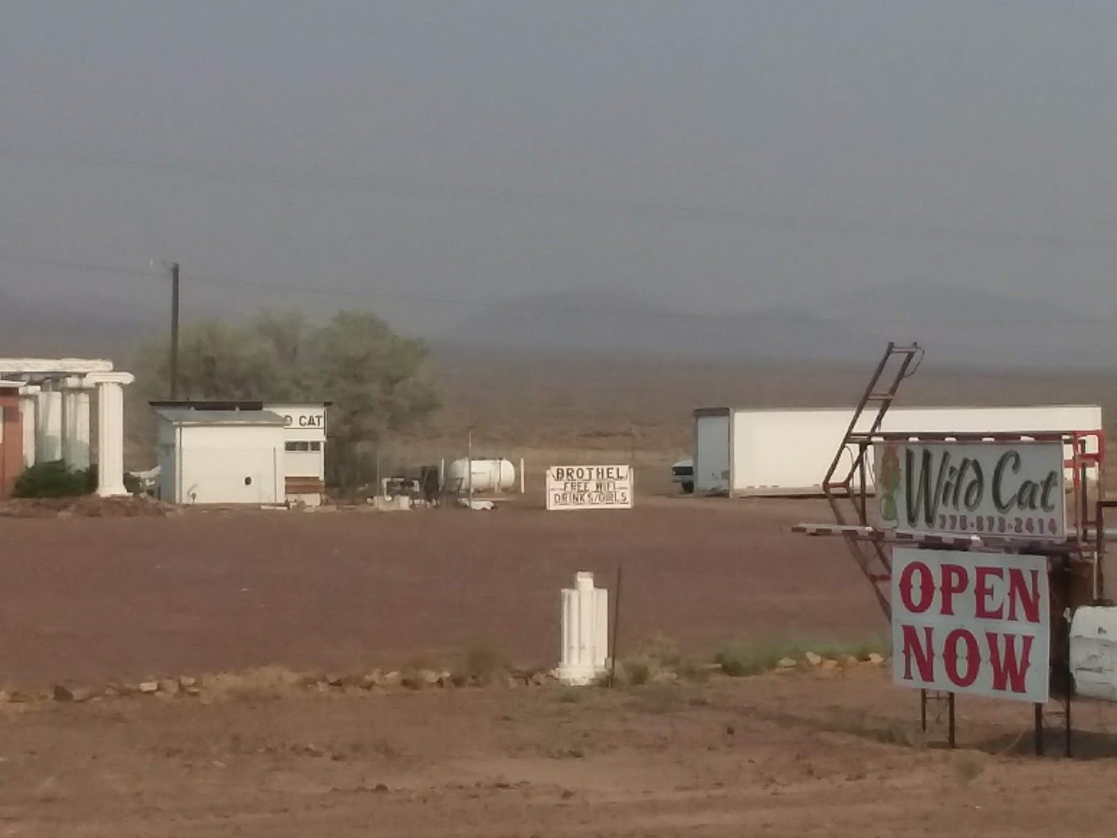 Wild Cat Brothel - Brothel in Mina, United States