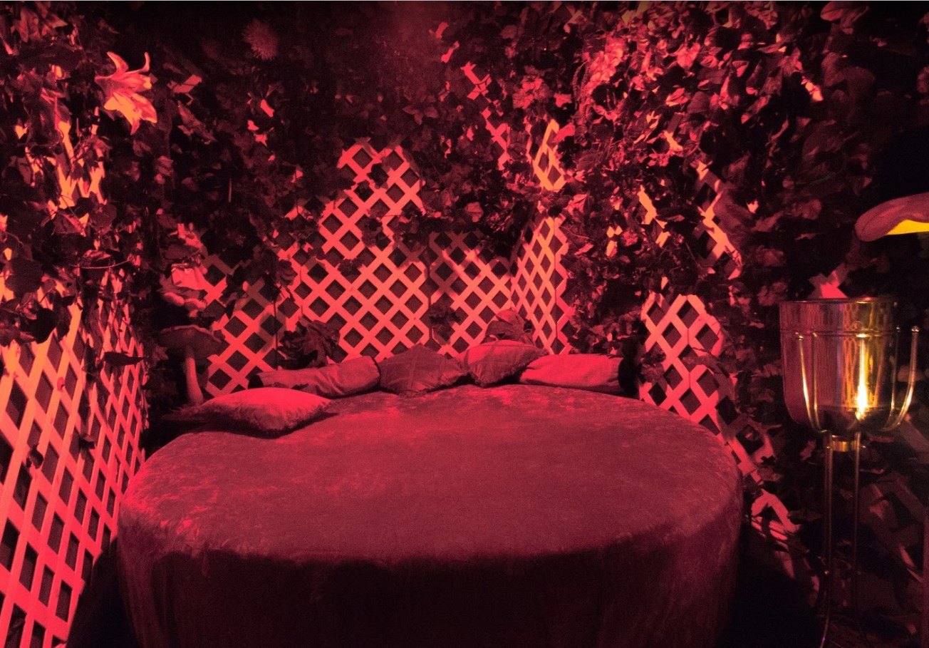 Larry Flynt's Hustler Barely Legal Club - Nightclub in New Orleans, United States