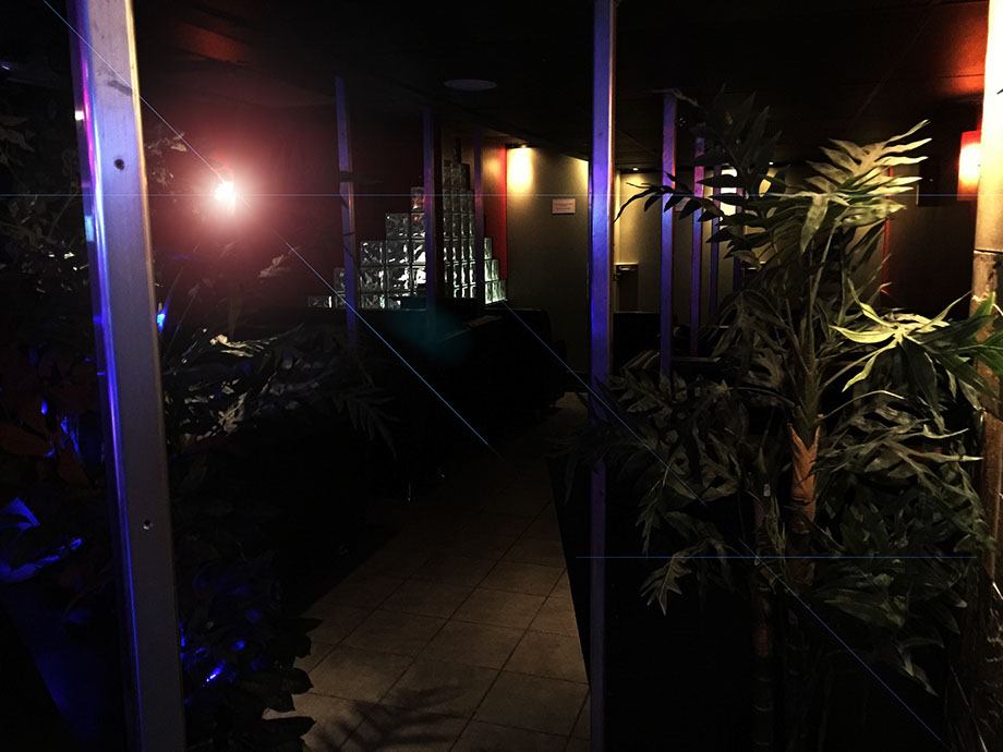 The Playmate - Nightclub in Ottawa, United States